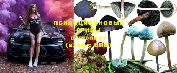 марки nbome Арсеньев