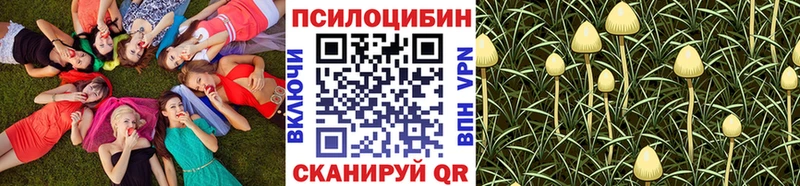 Псилоцибиновые грибы Magic Shrooms наркотики Асбест